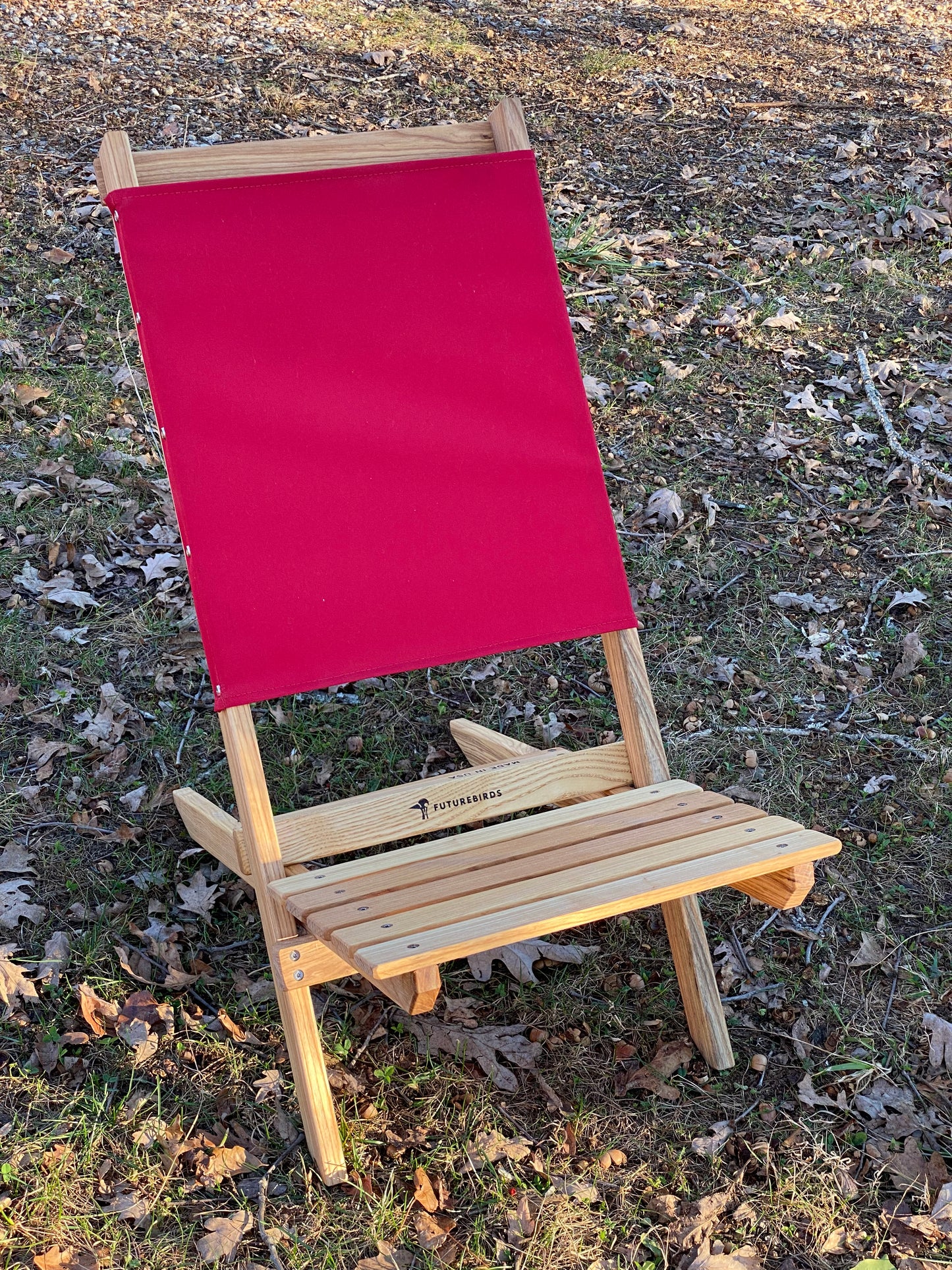 Limited Edition: Futurebirds X Blue Ridge Chair Collab