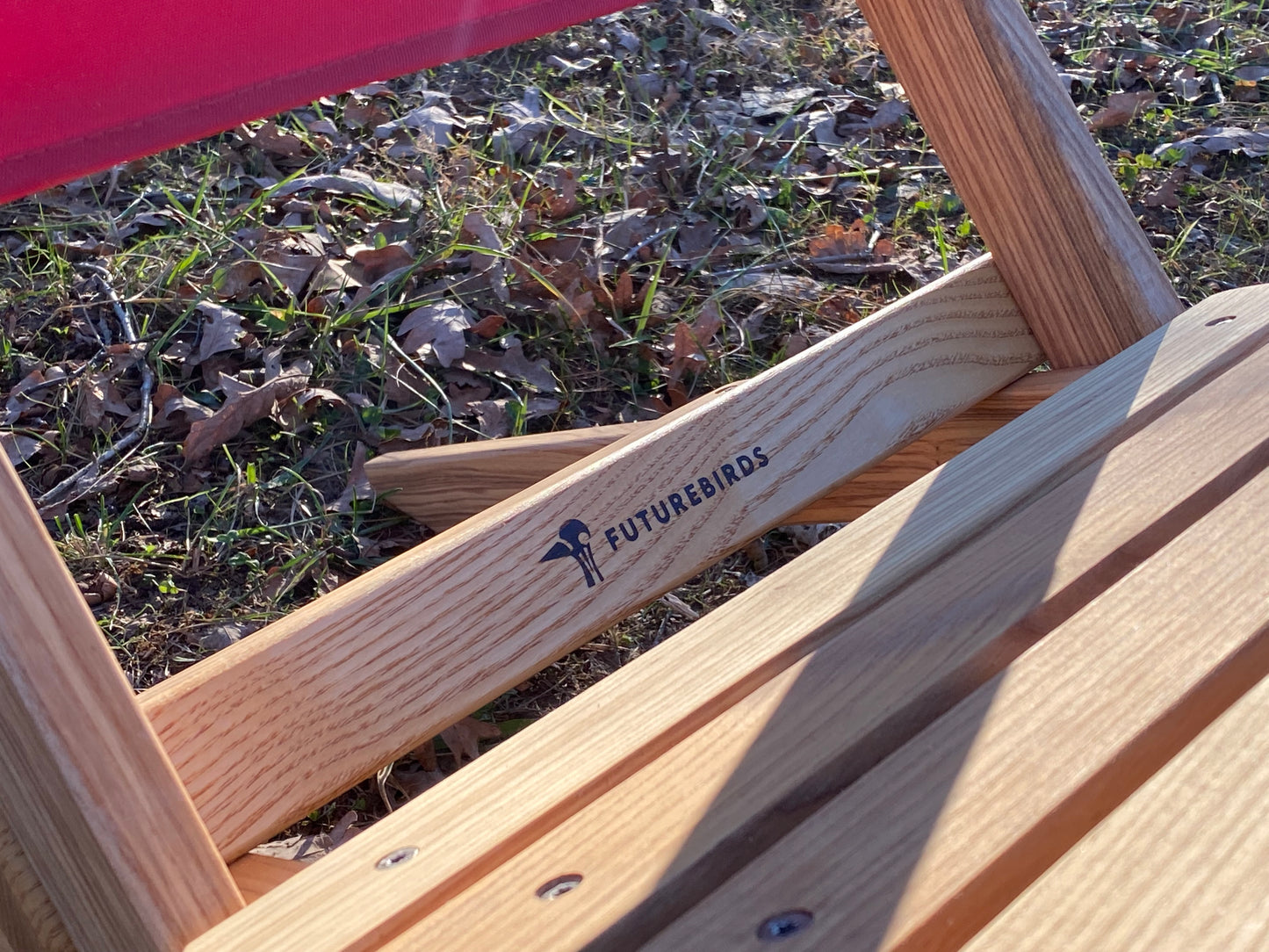 Limited Edition: Futurebirds X Blue Ridge Chair Collab