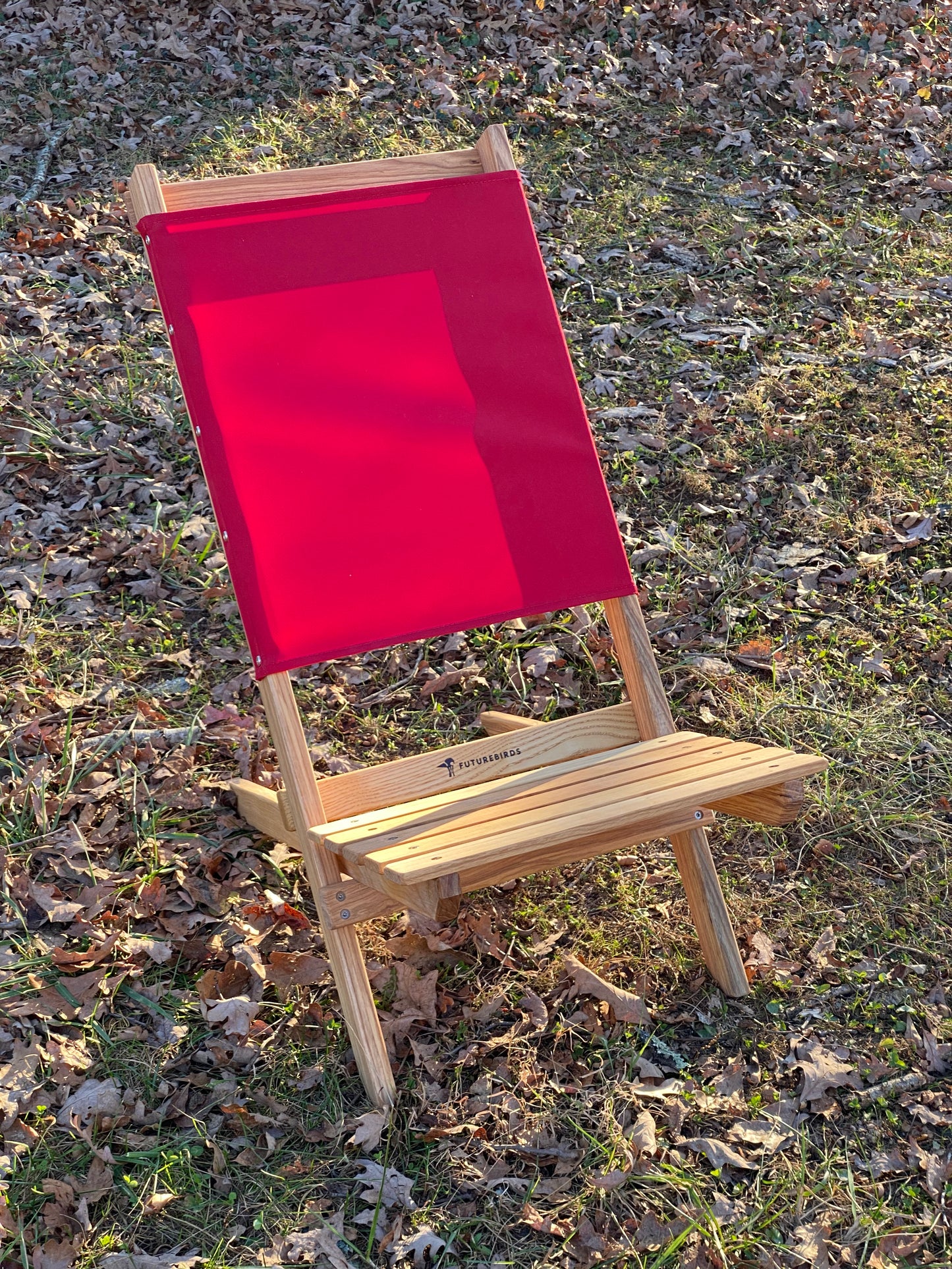 Limited Edition: Futurebirds X Blue Ridge Chair Collab