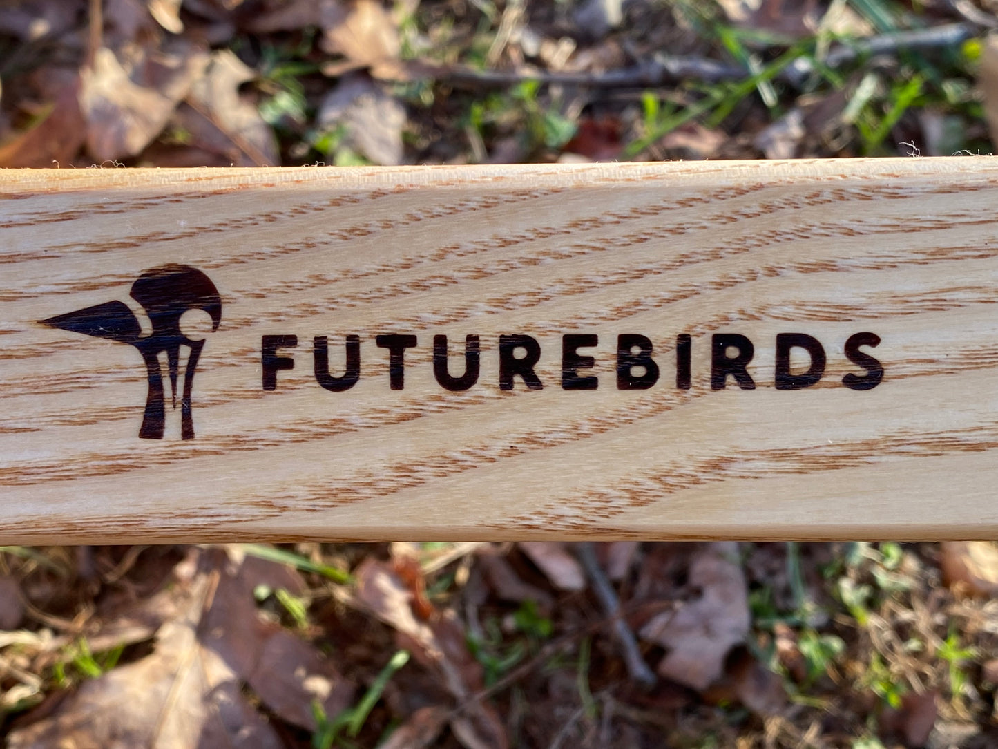 Limited Edition: Futurebirds X Blue Ridge Chair Collab