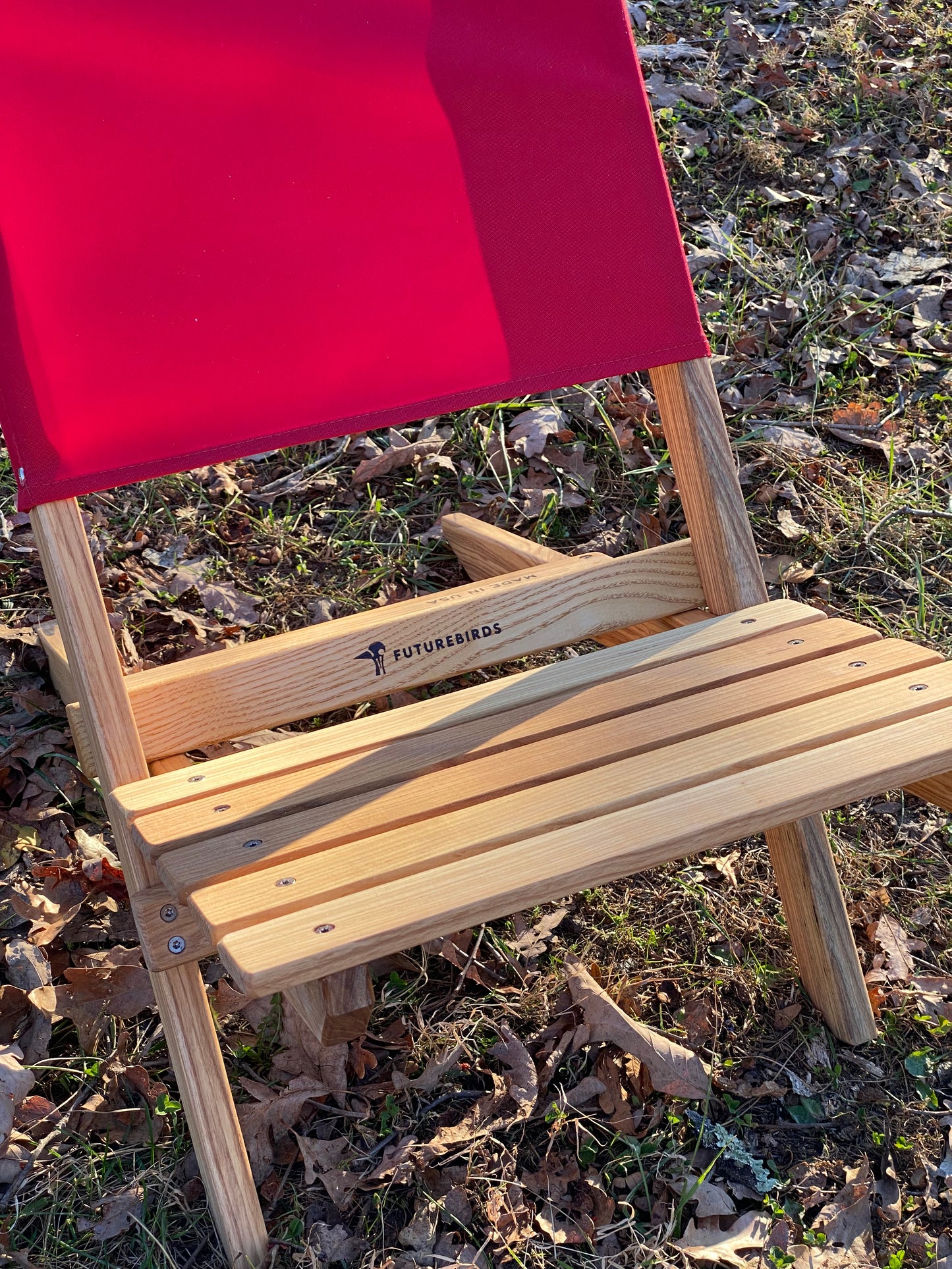 Limited Edition: Futurebirds X Blue Ridge Chair Collab